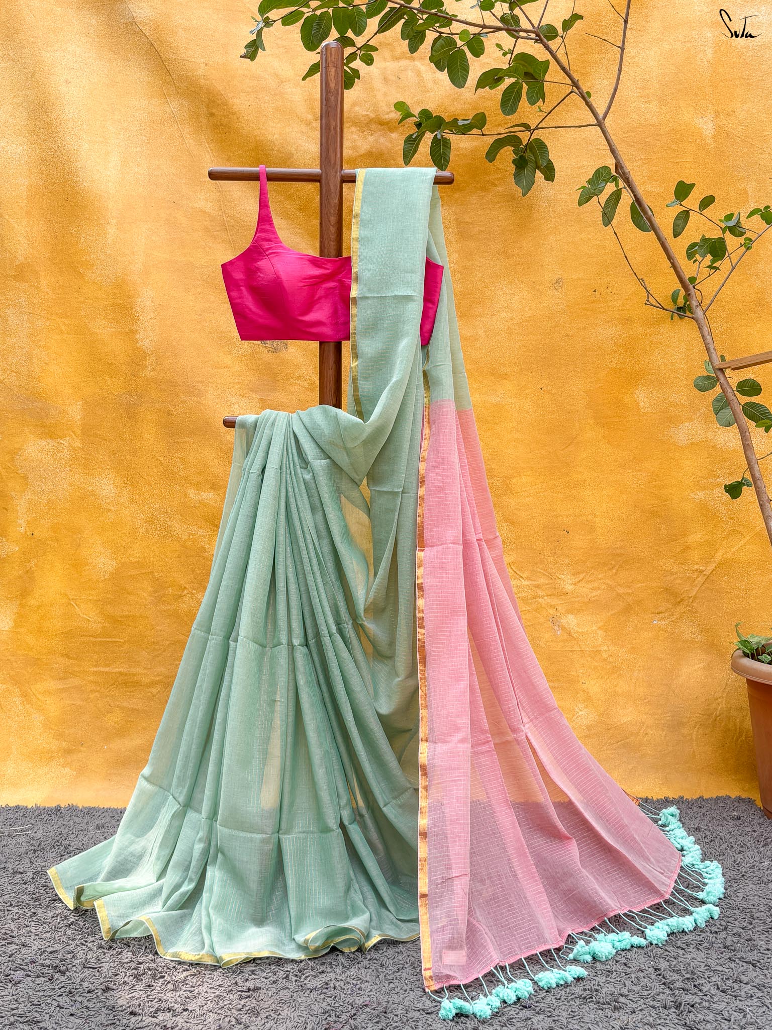Morning Garden