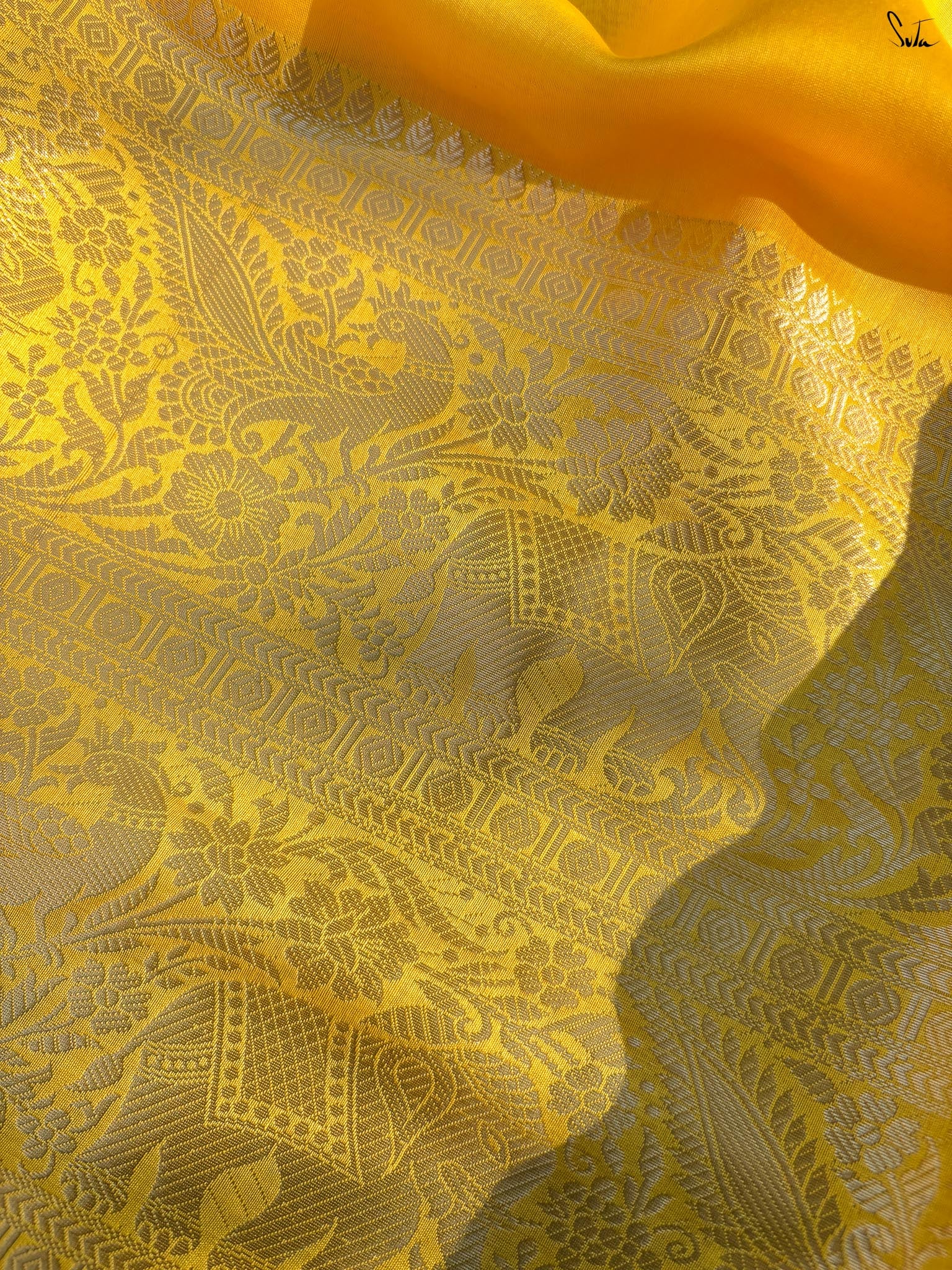 Haldi Gajra