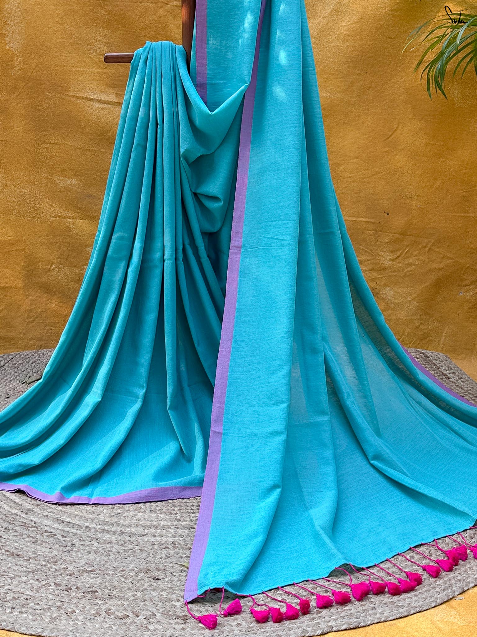 Aasmani Bougainvillea