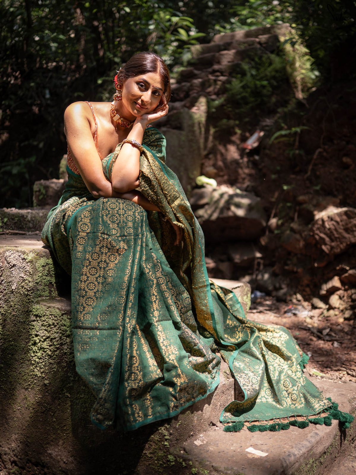 Bawri Bulbul