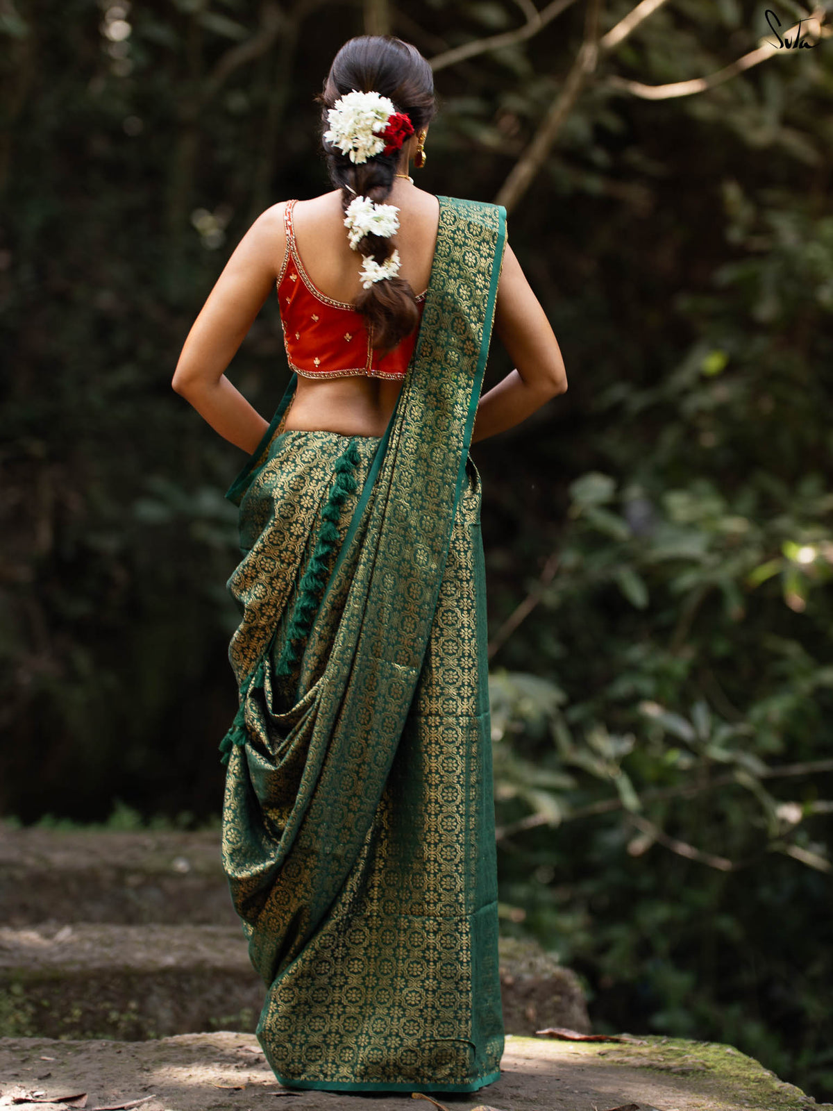 Bawri Bulbul