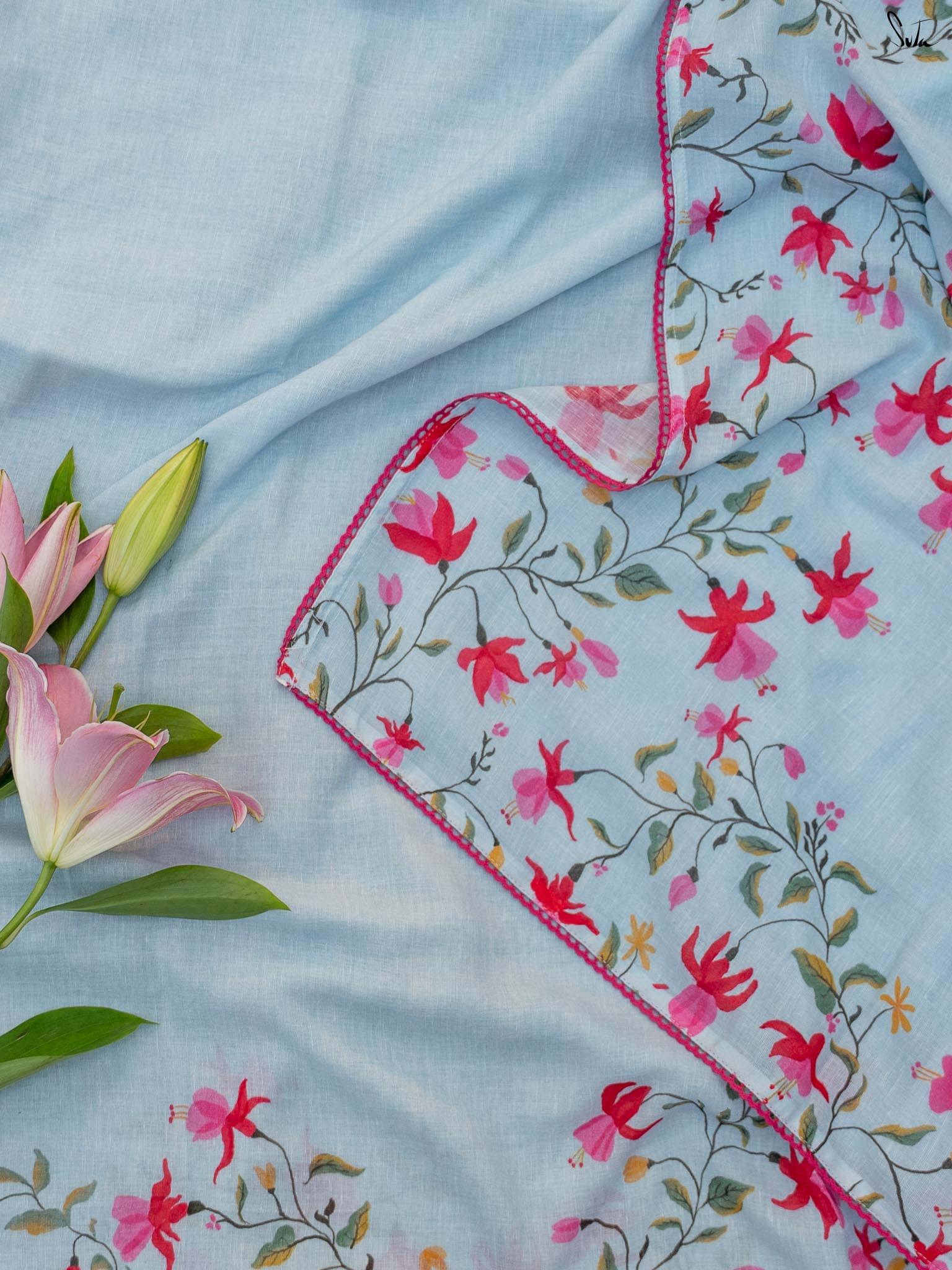 Blue Fuchsia Fiza