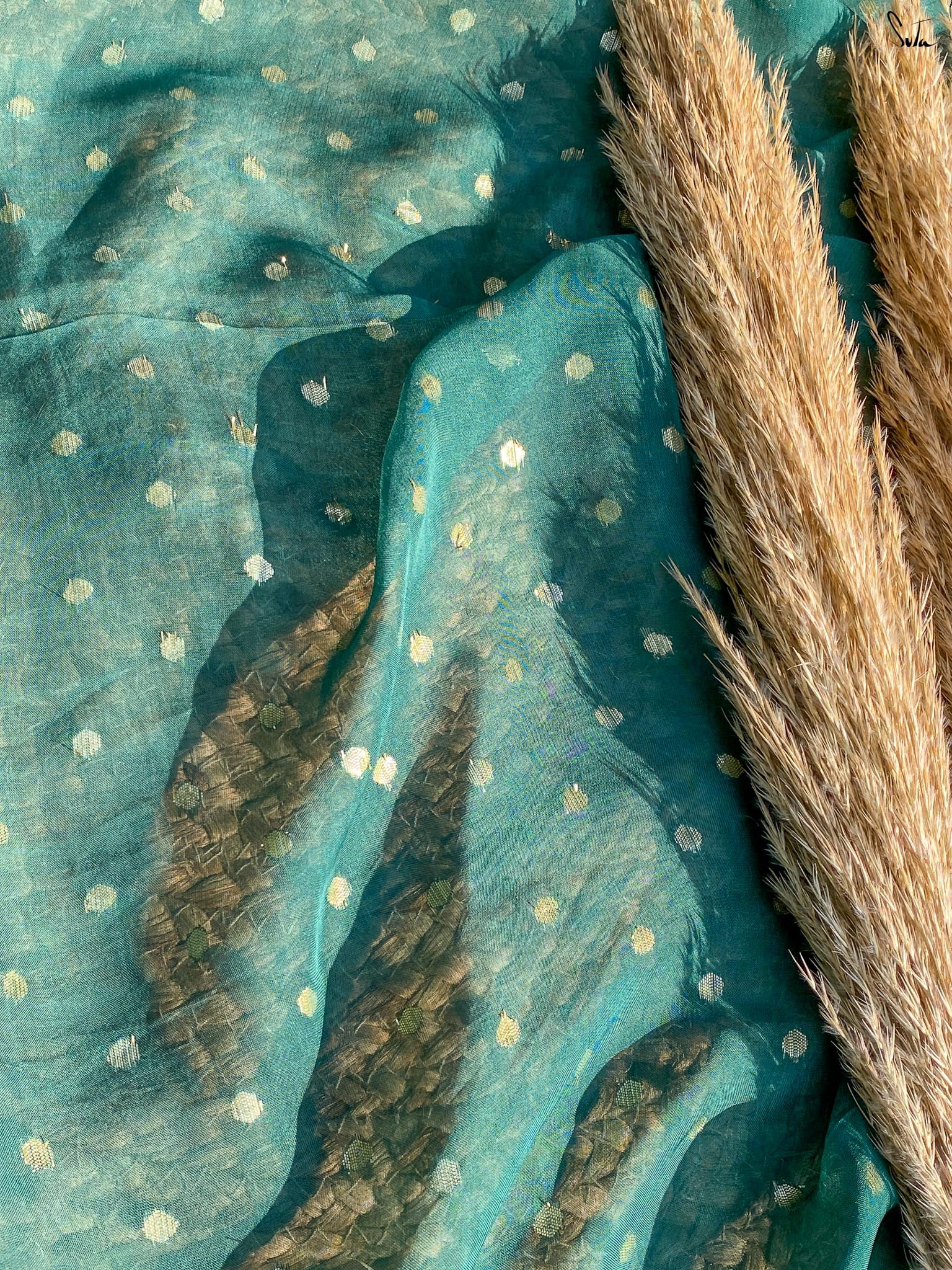 Chandni Bindu