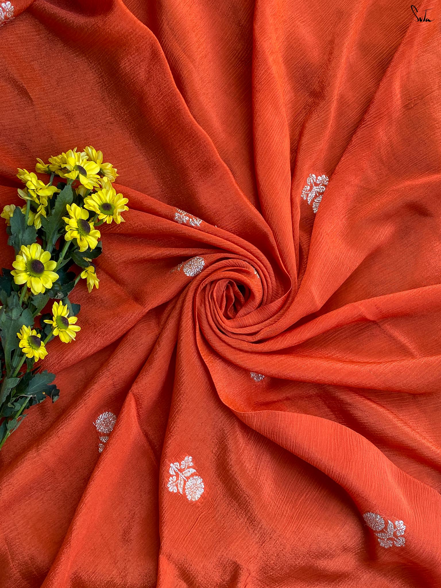 Coral Bloom
