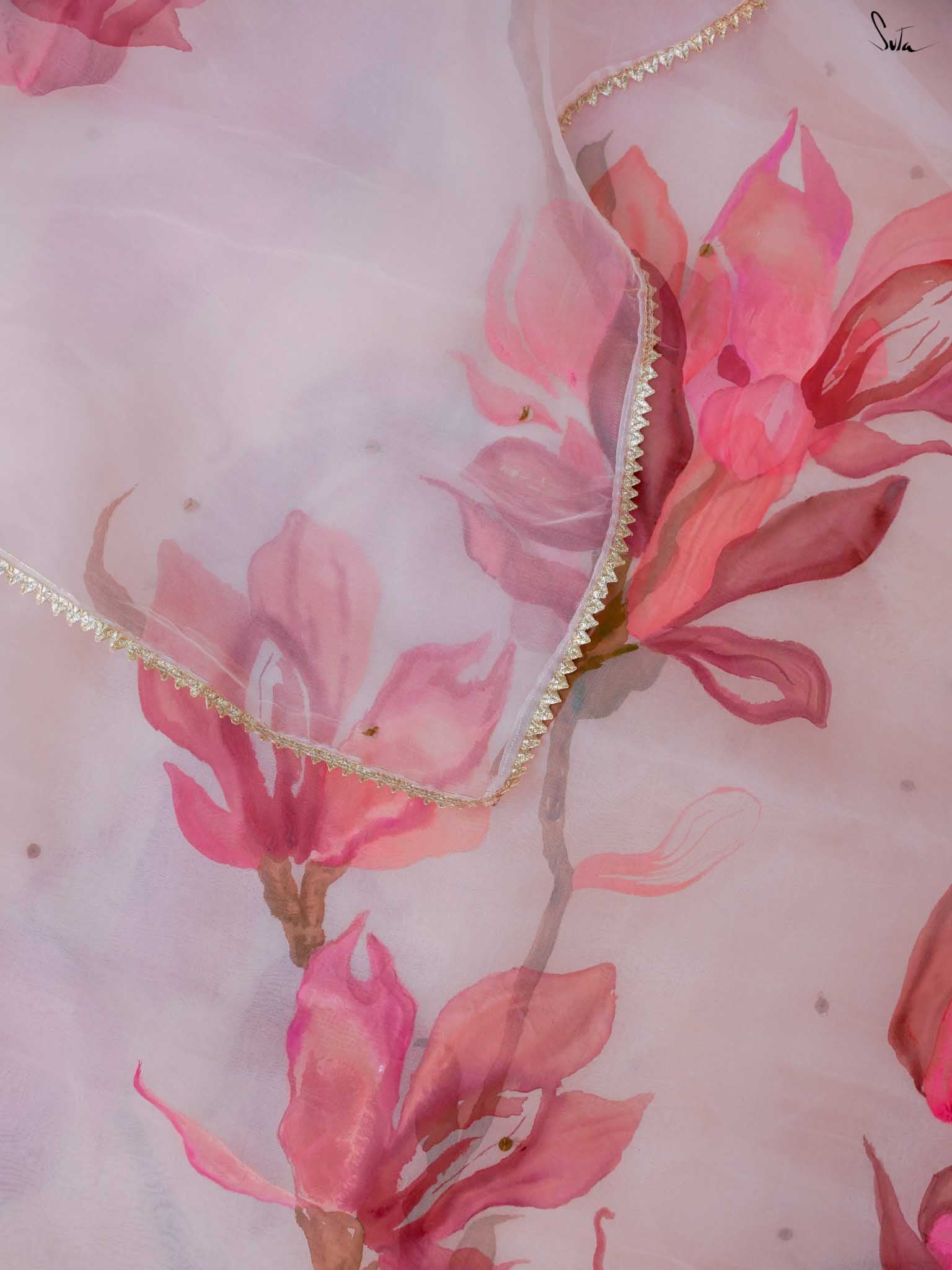 Blushing Magnolia Blooms