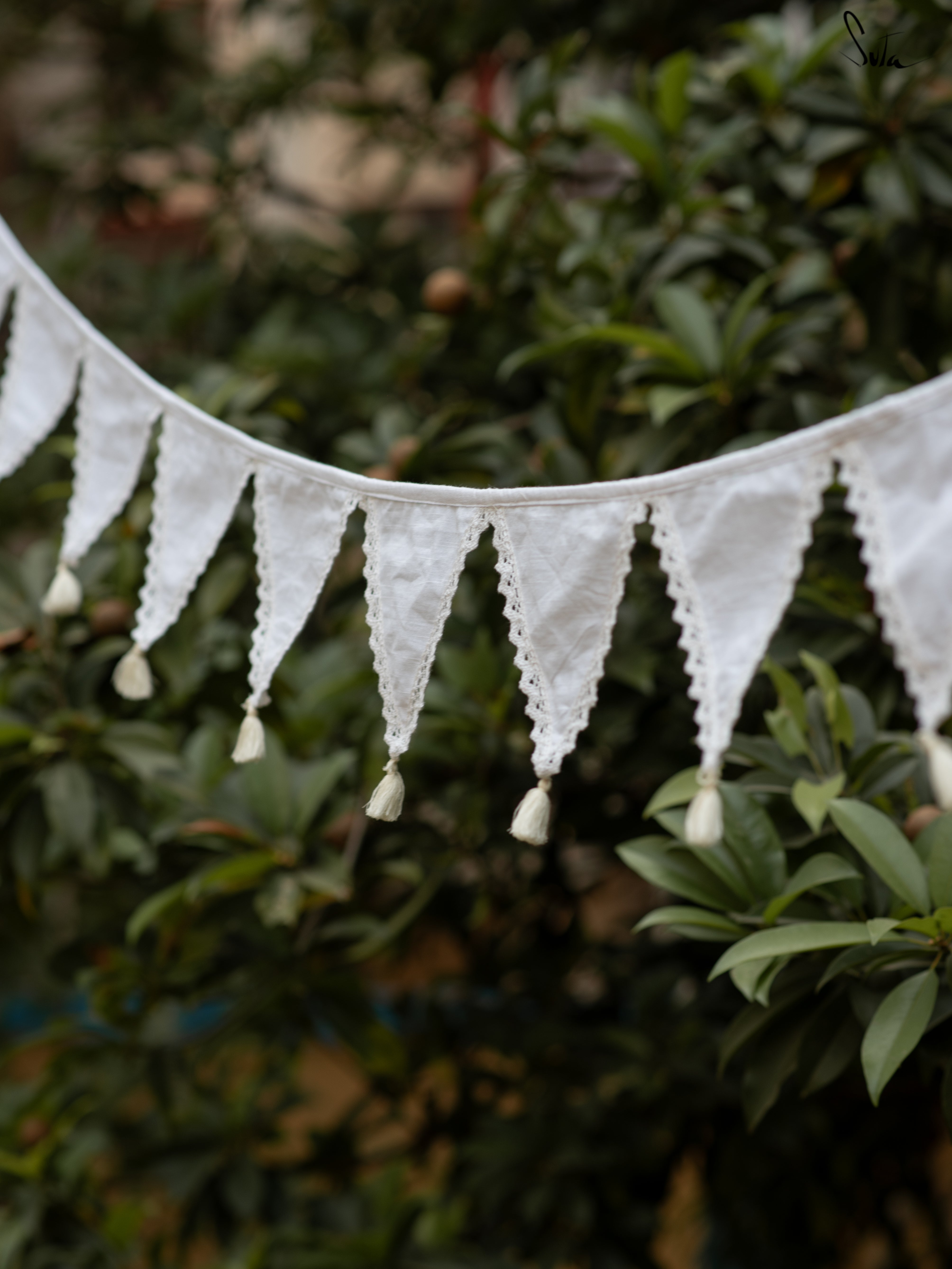 Lacy Charms