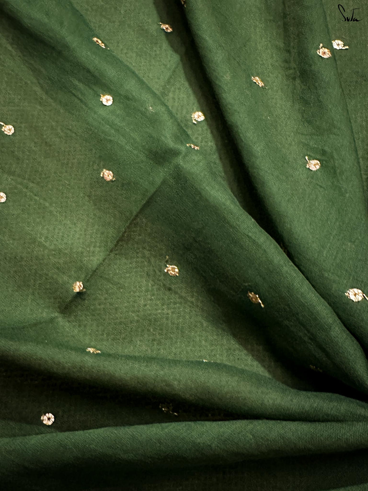 Dainty Olive