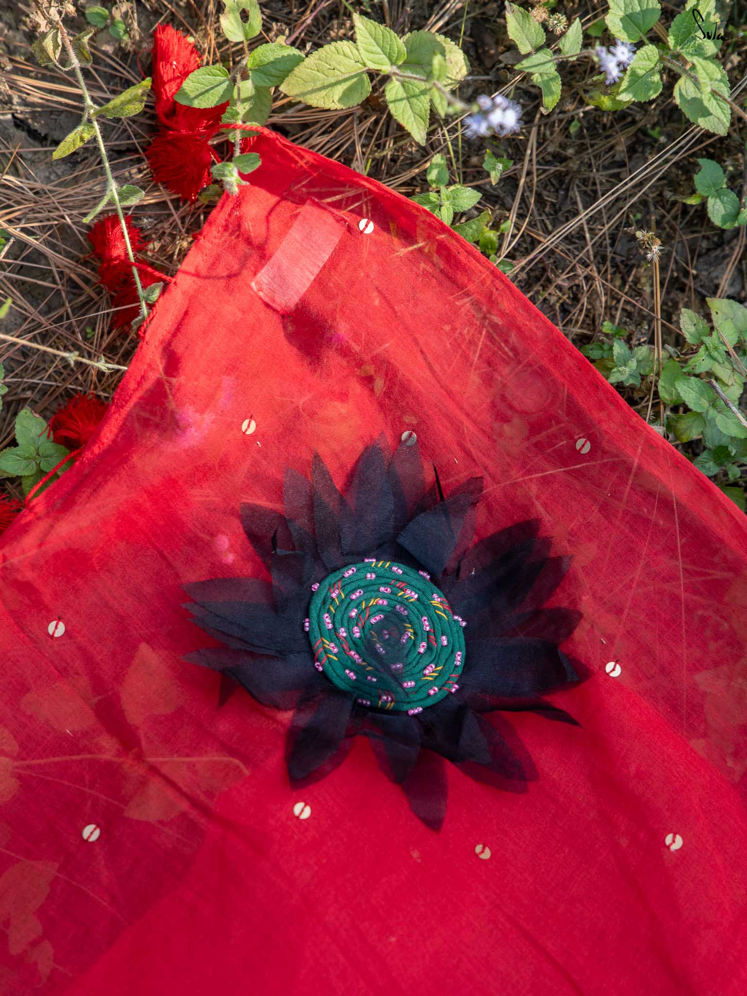 Dipped In Red Sunflower