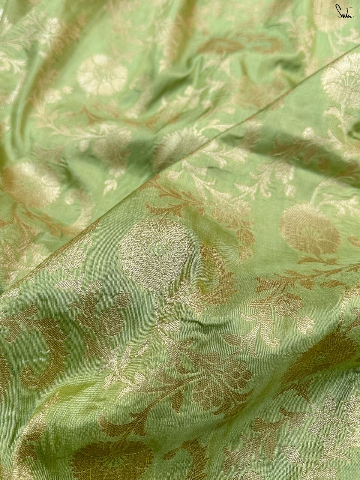 Golden Fern