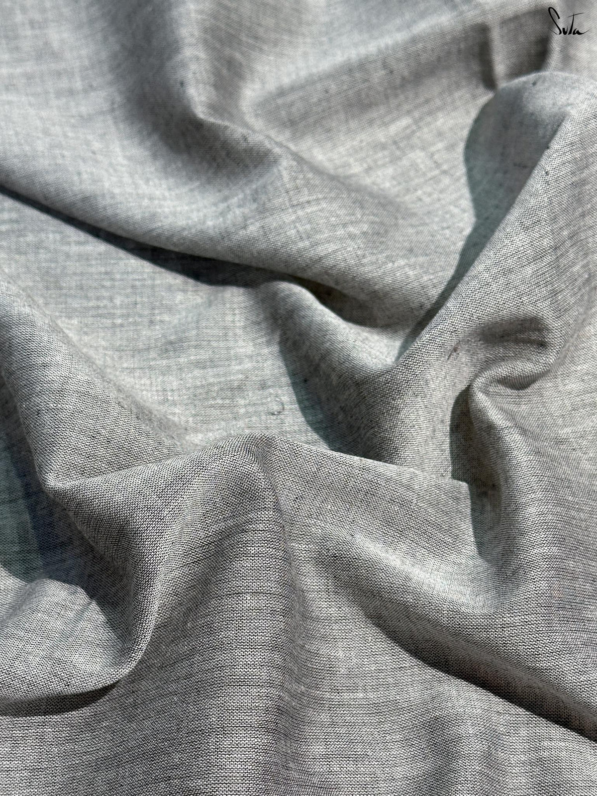 Grey Gul