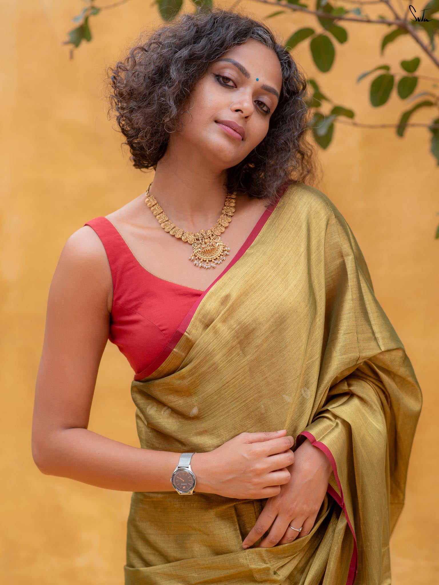 Hari Zafri Zari Saree