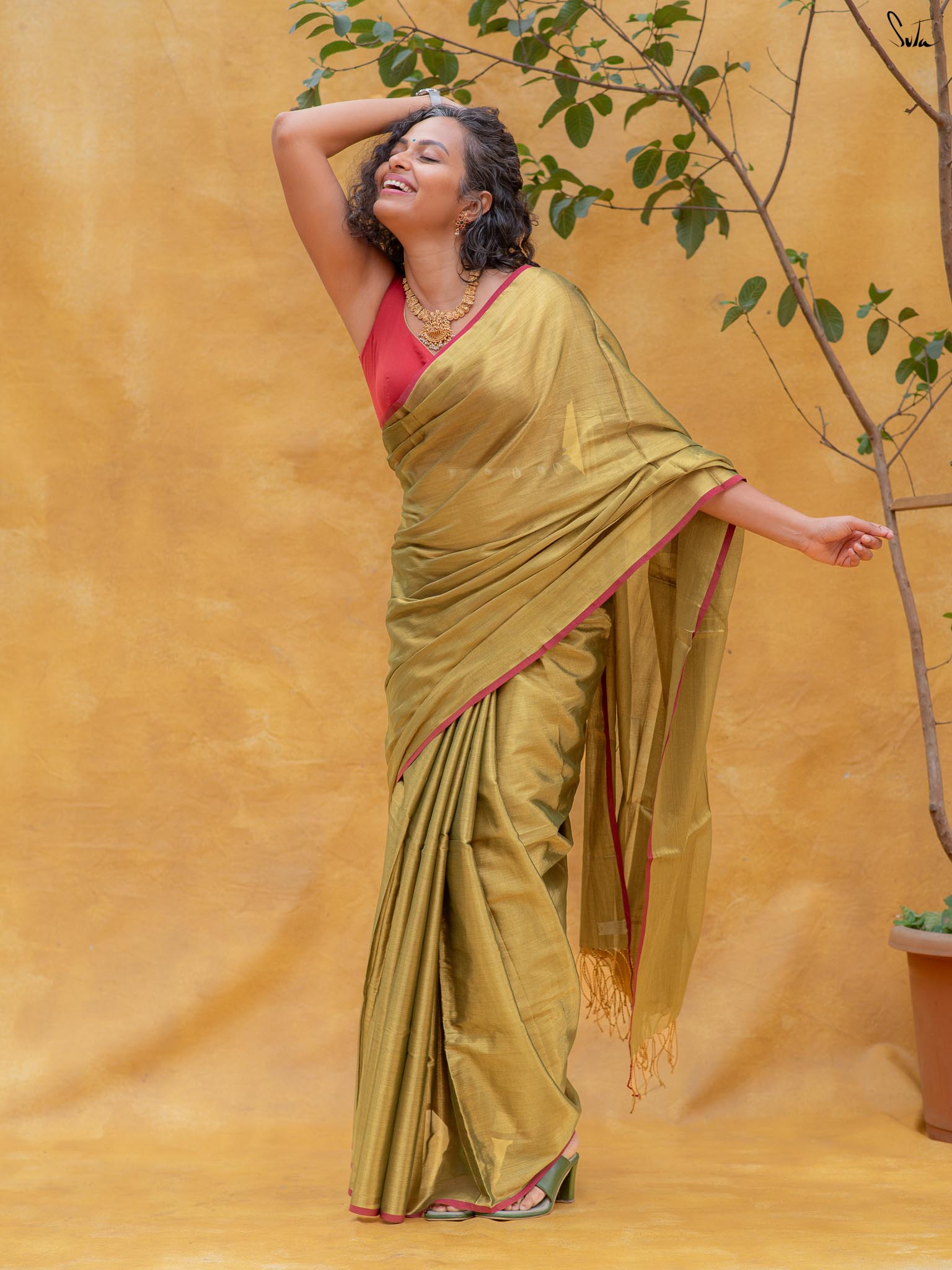 Hari Zafri Zari Saree