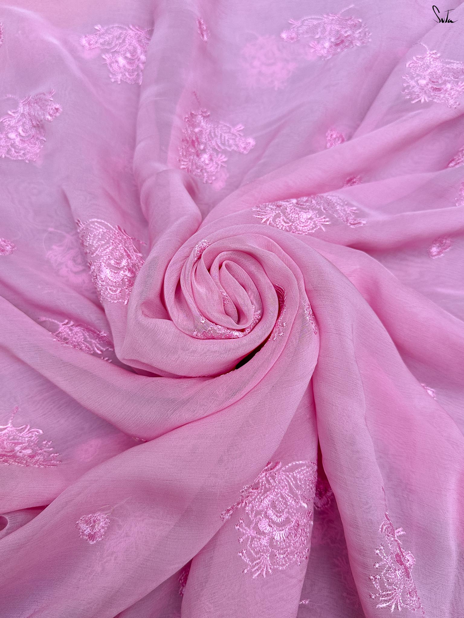 Petal Shore