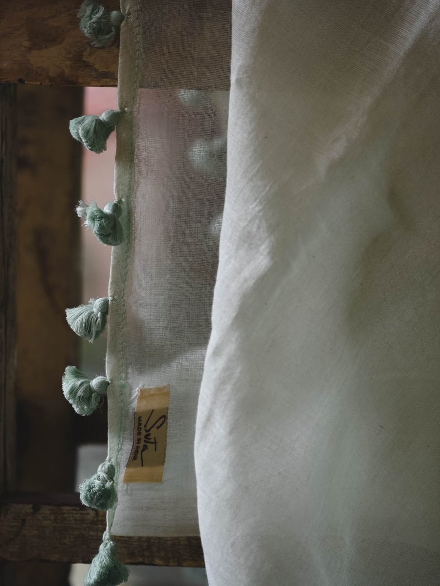 Baby asparagus - suta.in