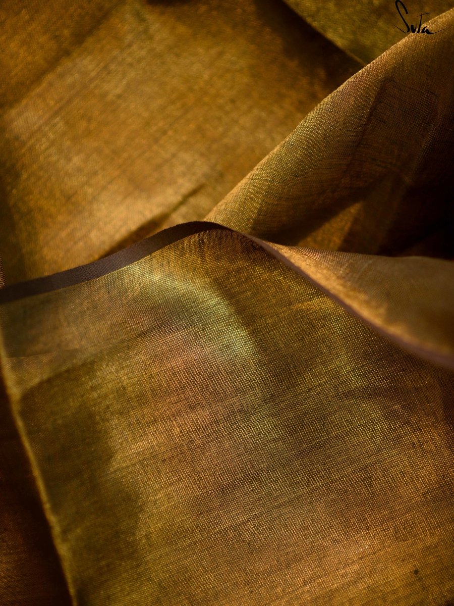 Raga Hamsadhvani - suta.in