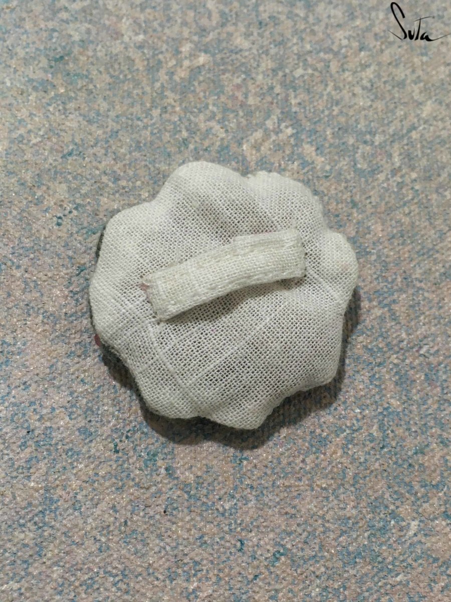 Chhui-Mui (Brooch) - suta.in
