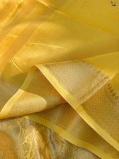 Haldi Gajra