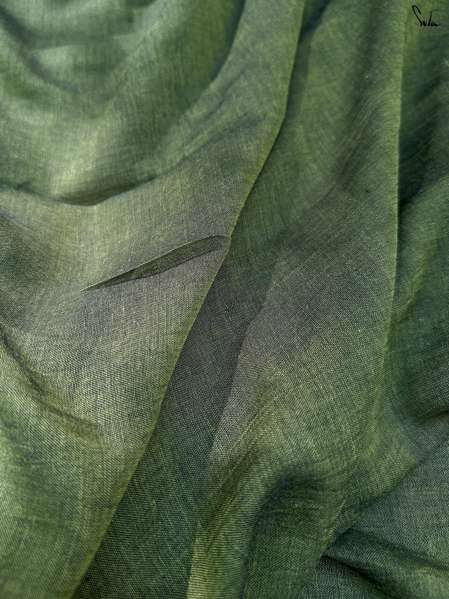 Olive Aurelia