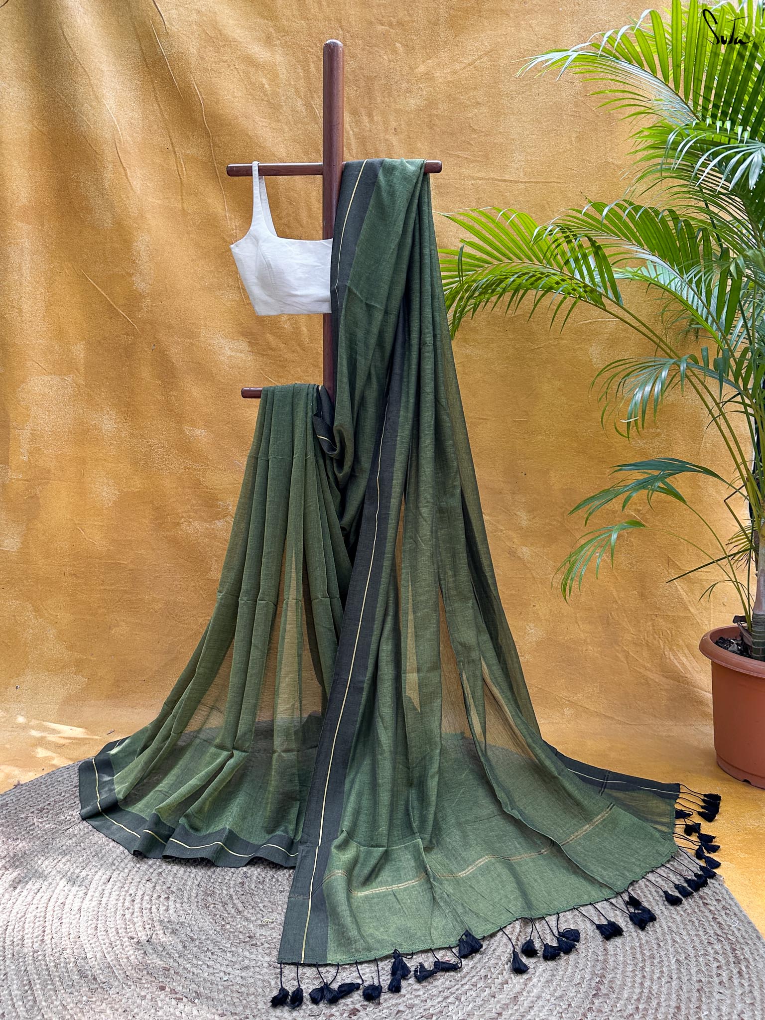 Olive Aurelia