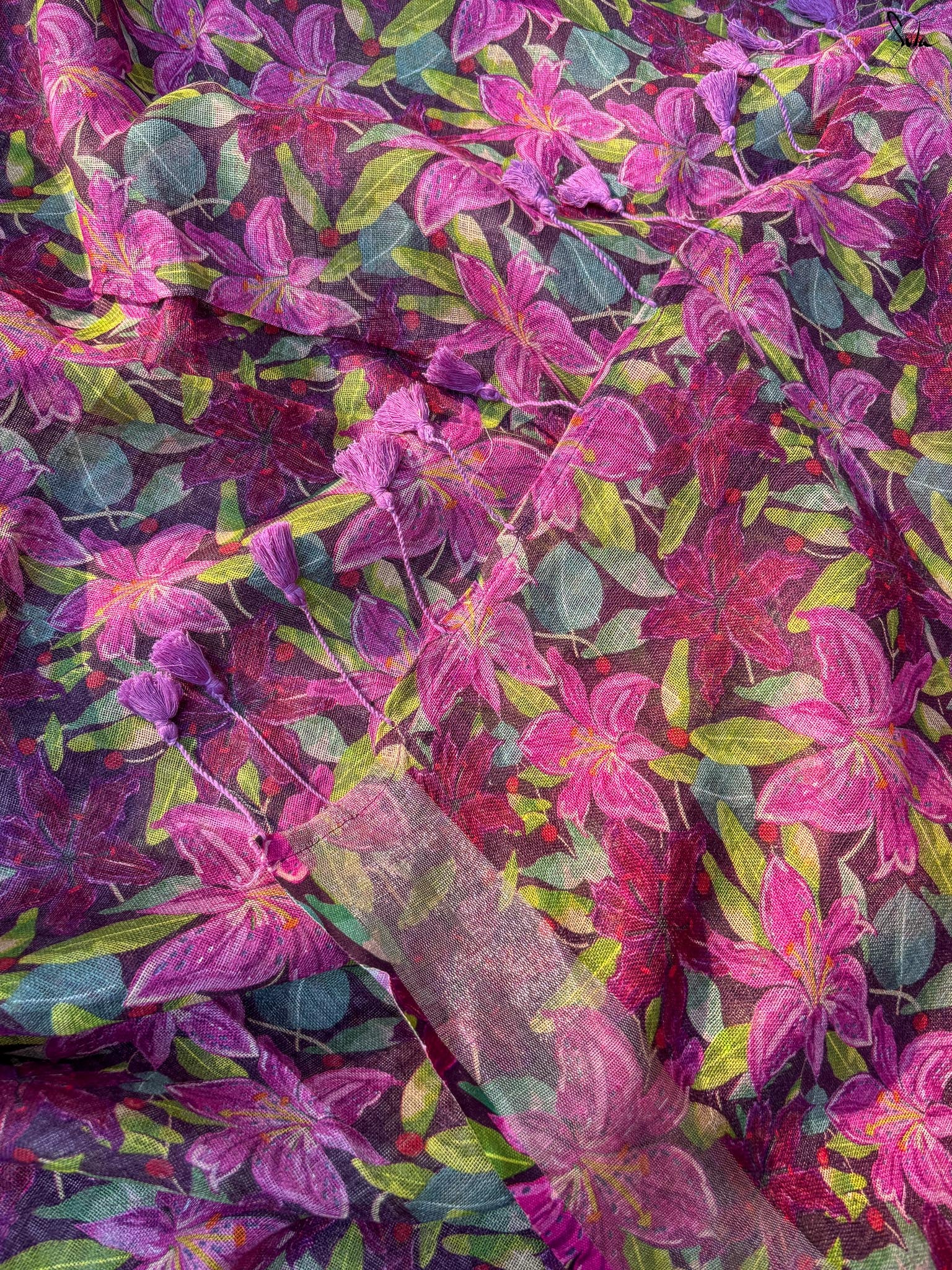 Orchid Haze