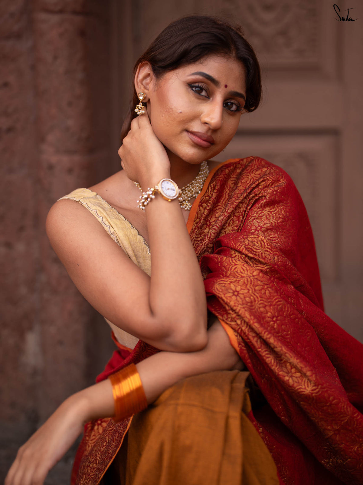 Ajnabi Bulbul