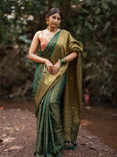 Bawri Bulbul