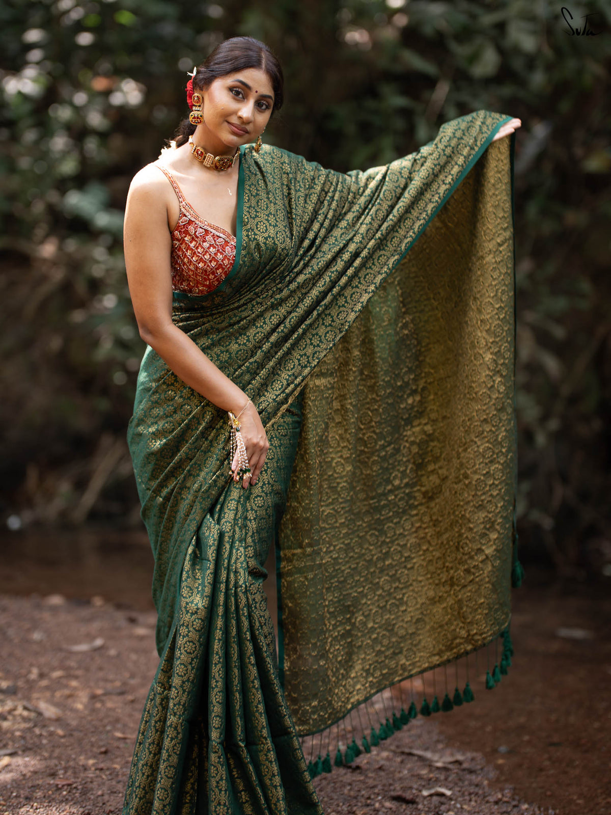 Bawri Bulbul