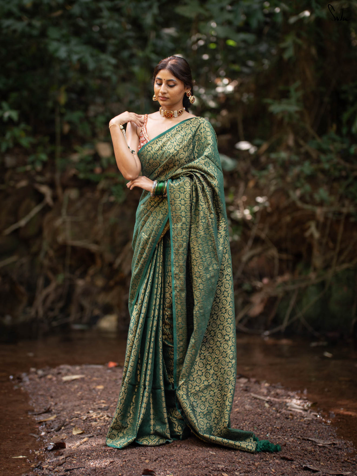 Bawri Bulbul