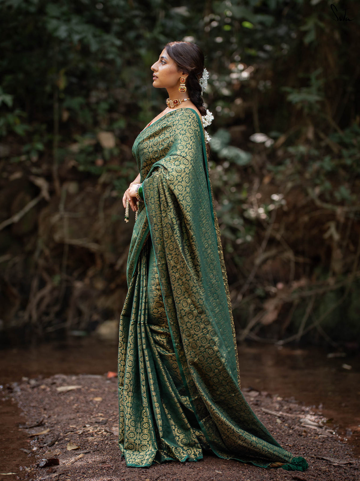 Bawri Bulbul