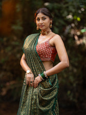 Bawri Bulbul