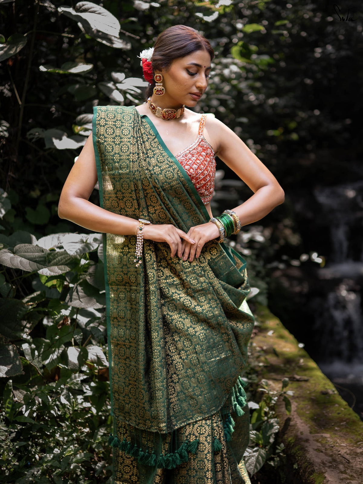 Bawri Bulbul