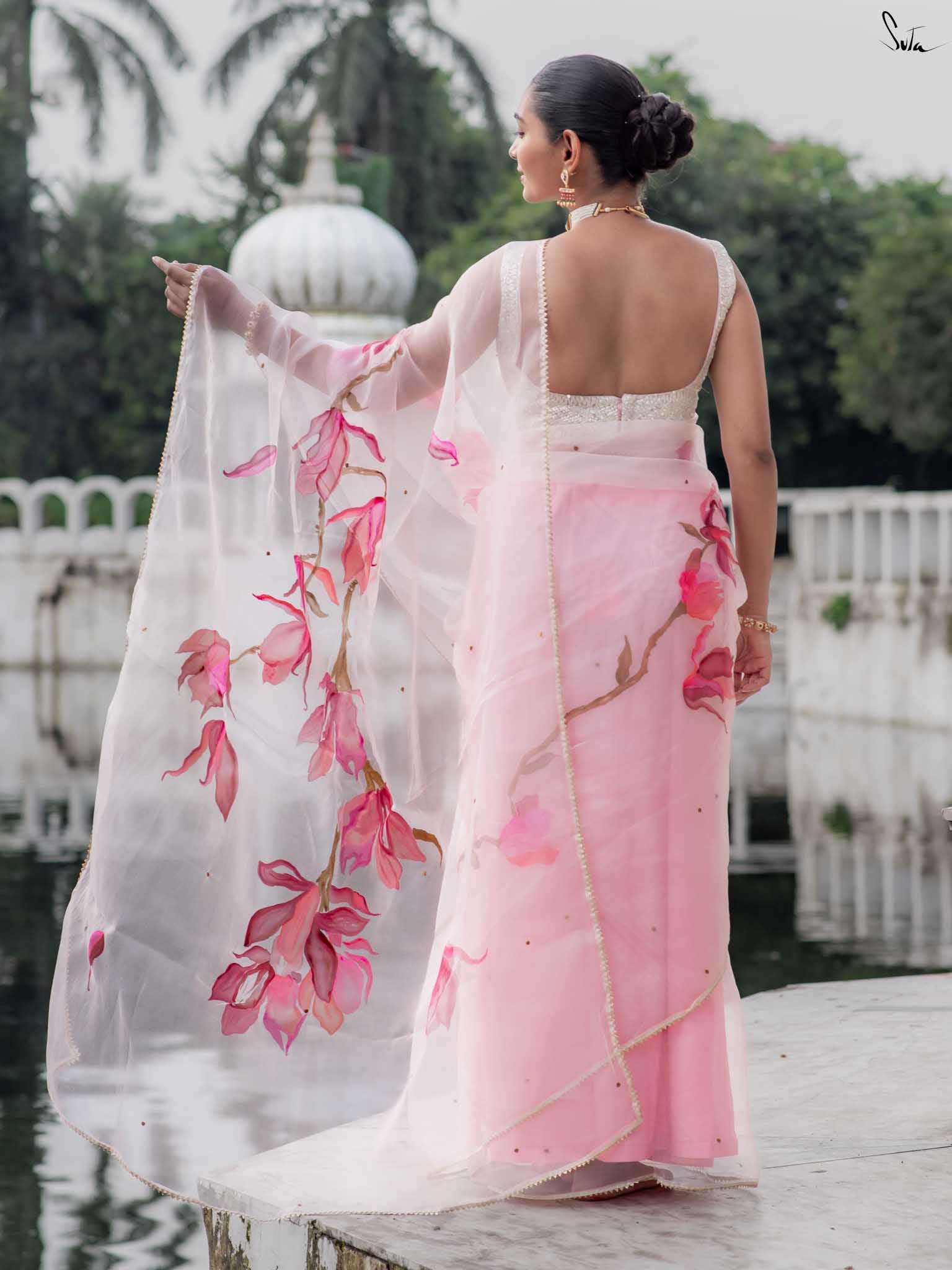 Blushing Magnolia Blooms