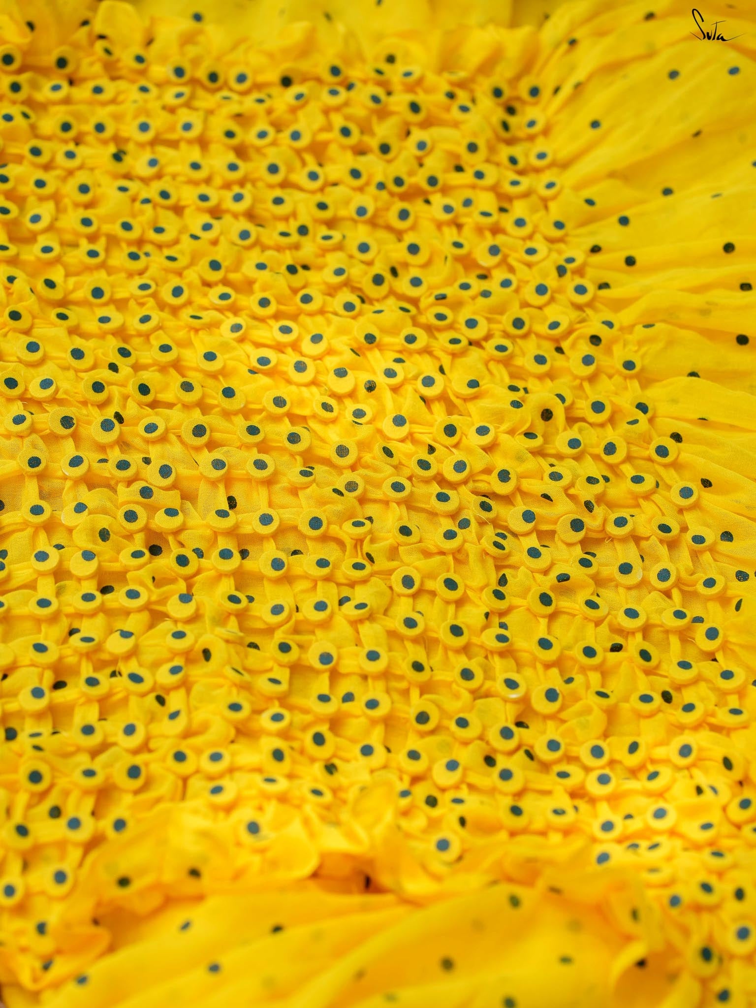 Dot Party