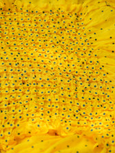 Dot Party