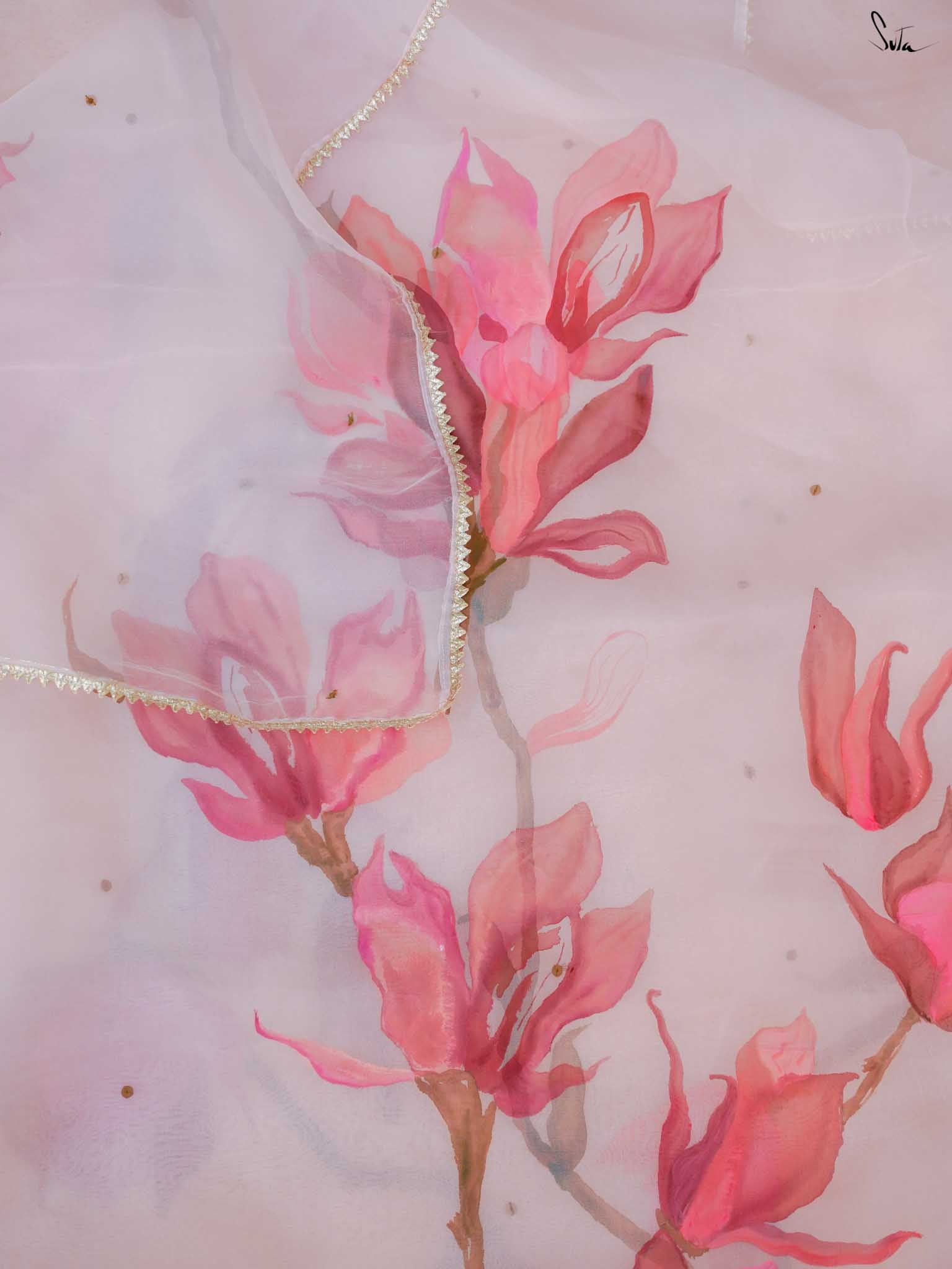 Blushing Magnolia Blooms