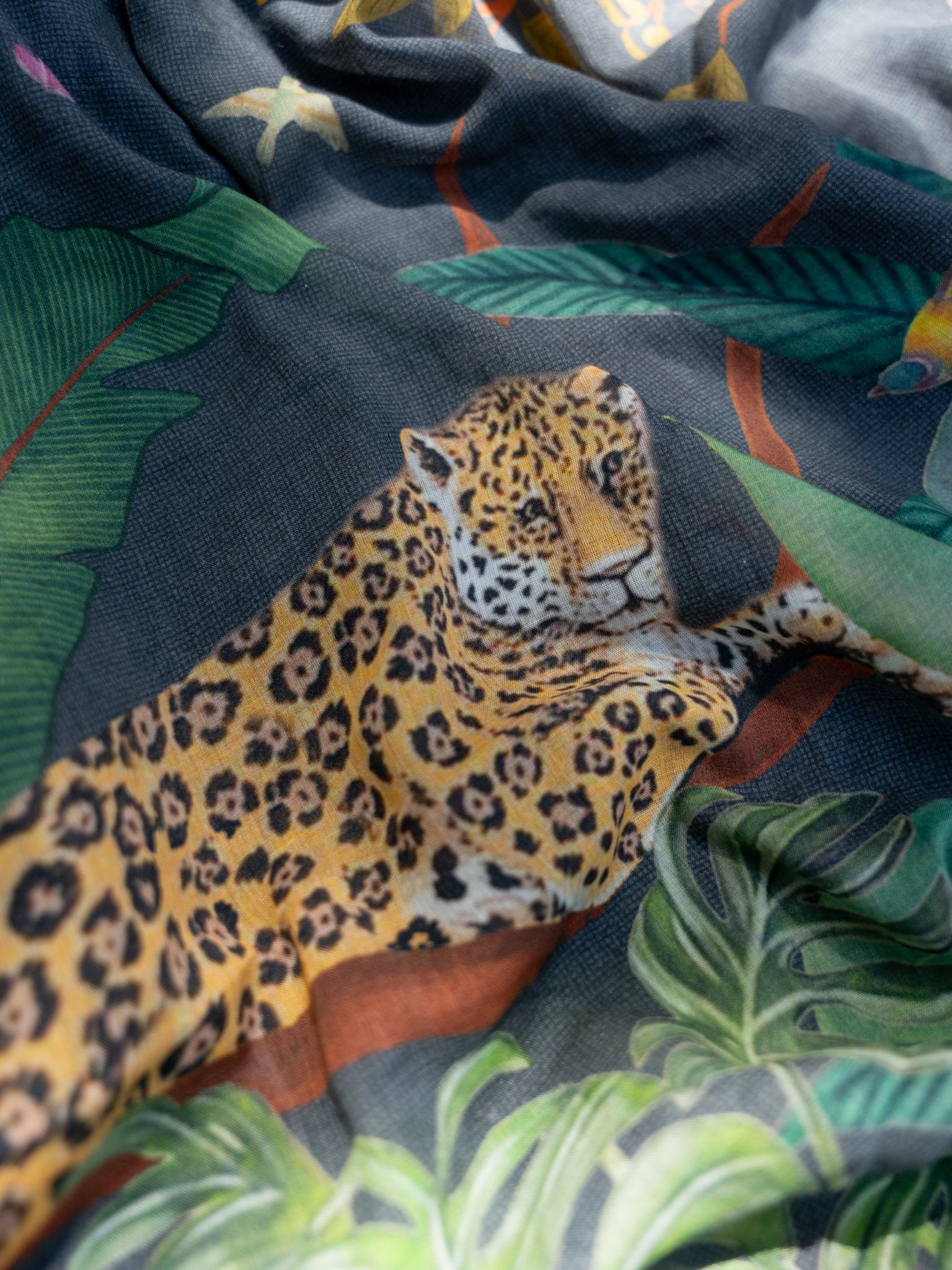 Safari Swing