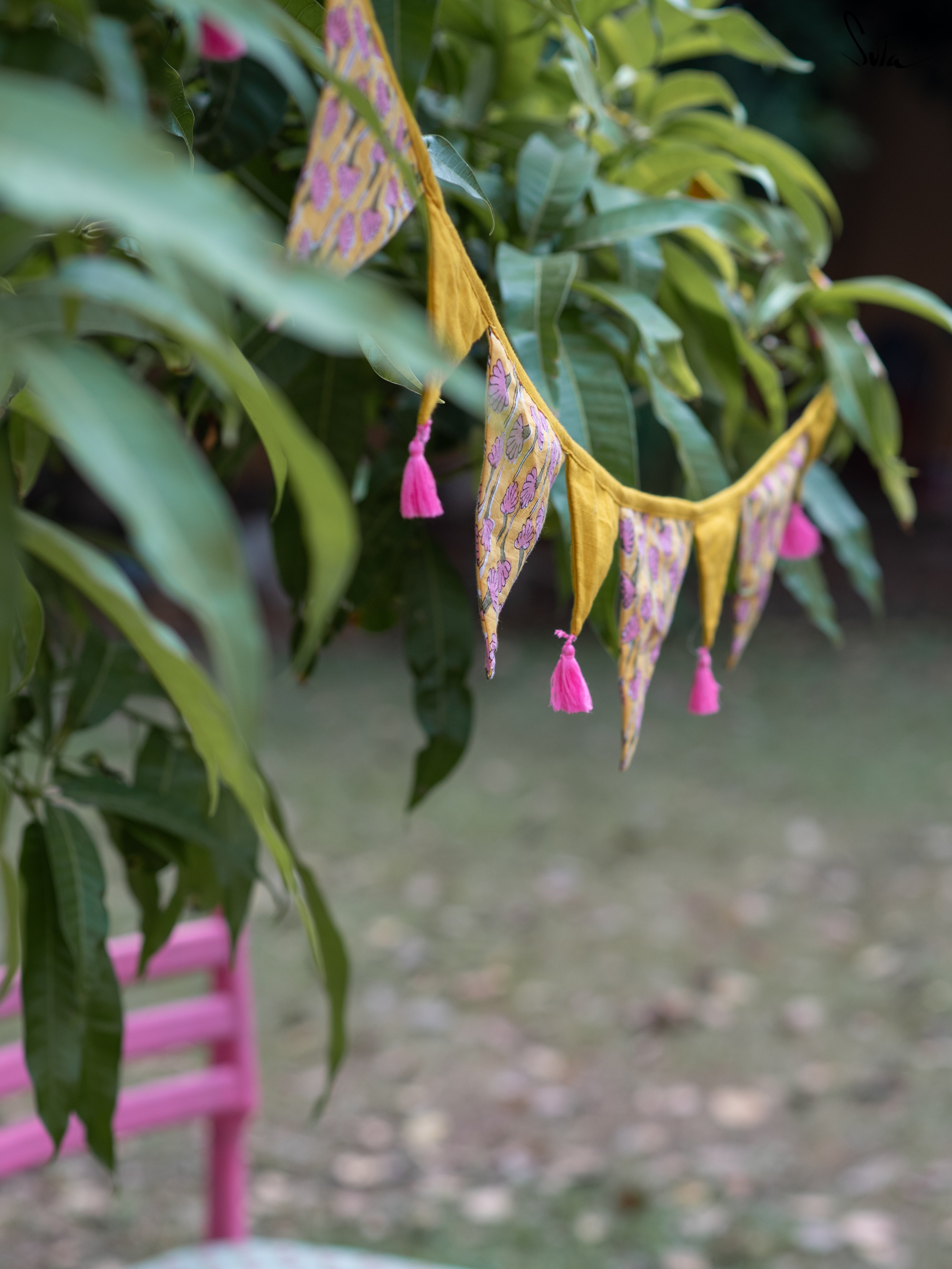 Bliss Blossoms