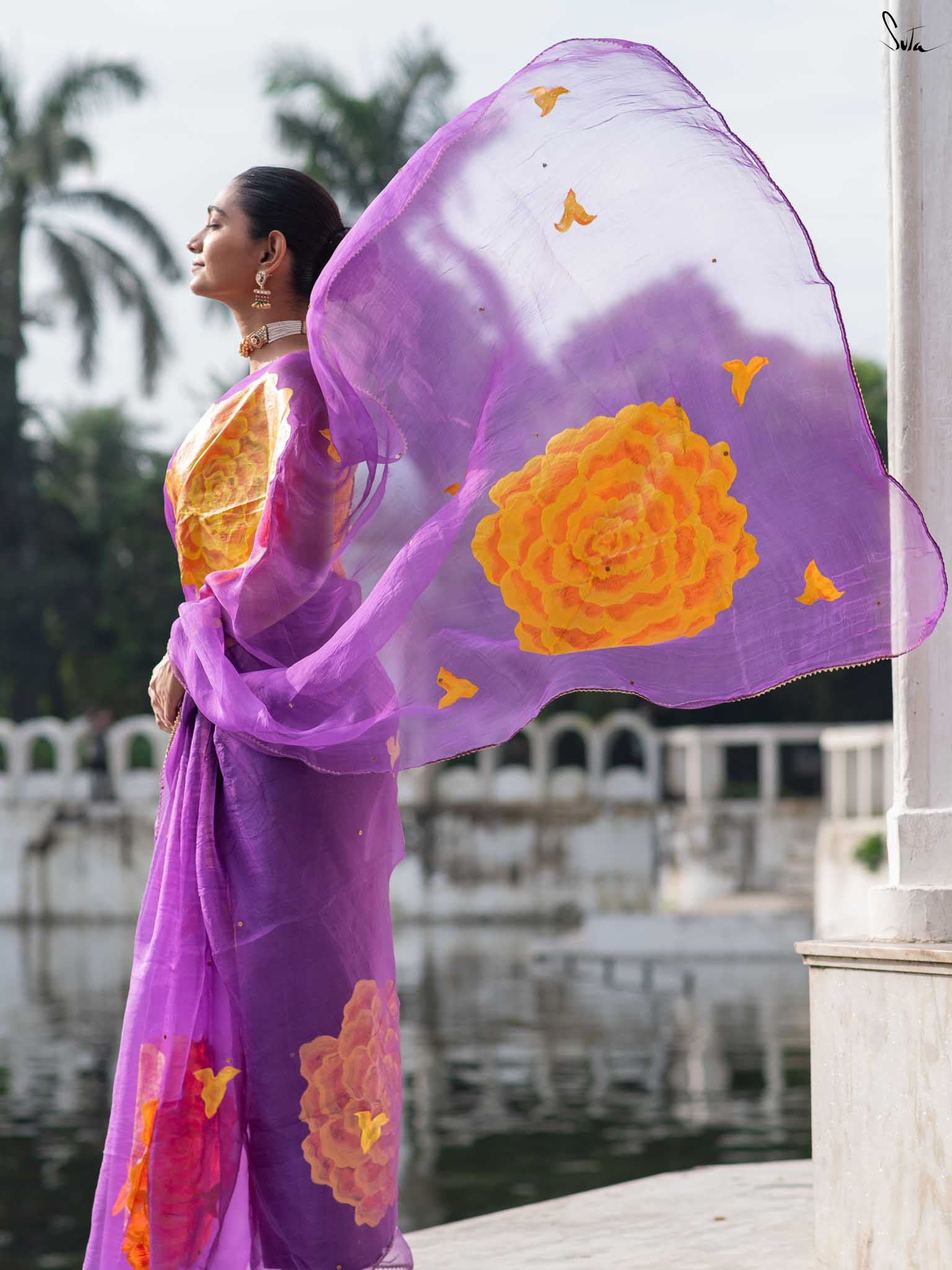 Velvet Marigold Blooms