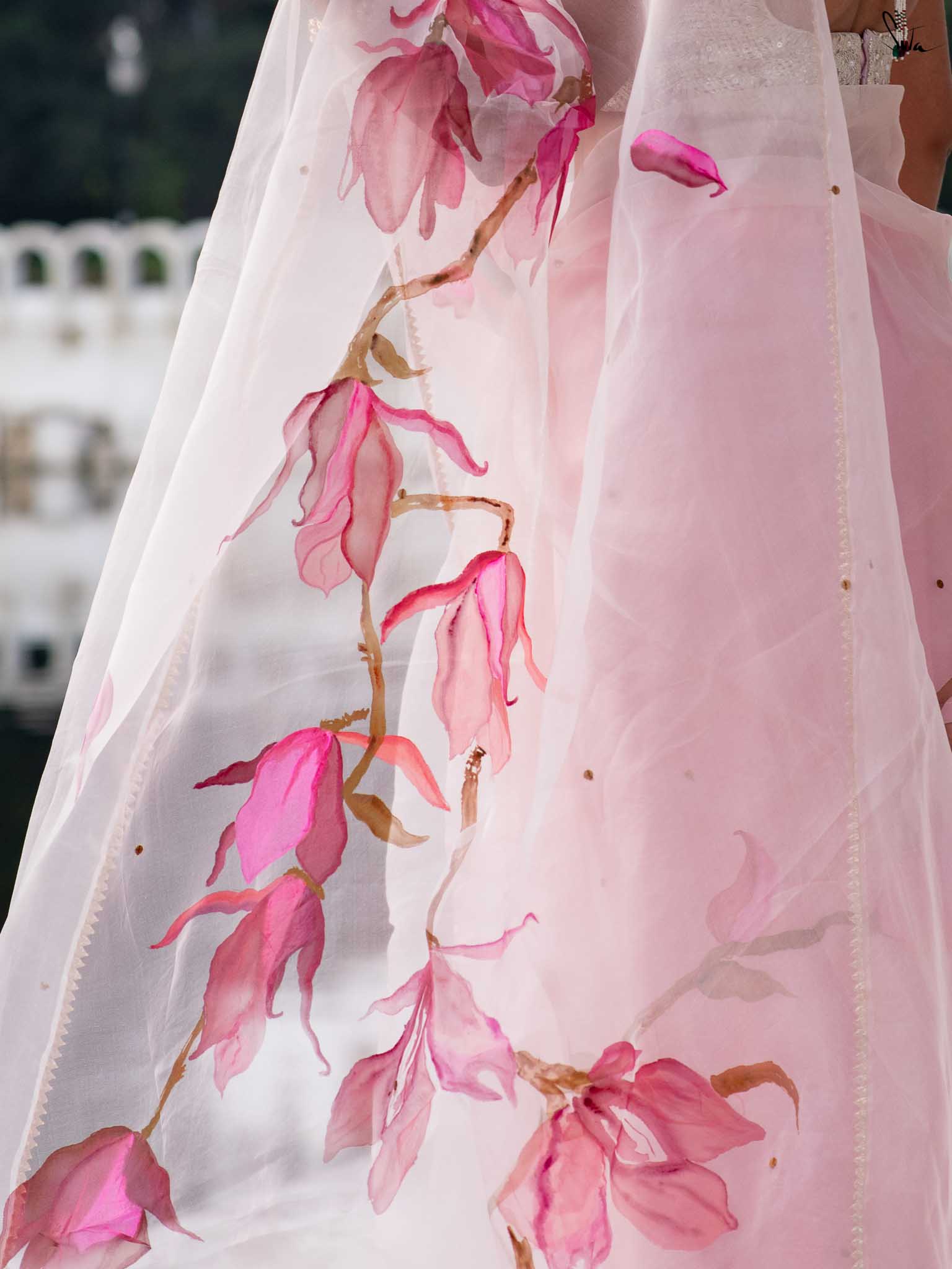 Blushing Magnolia Blooms