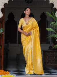 Haldi hai