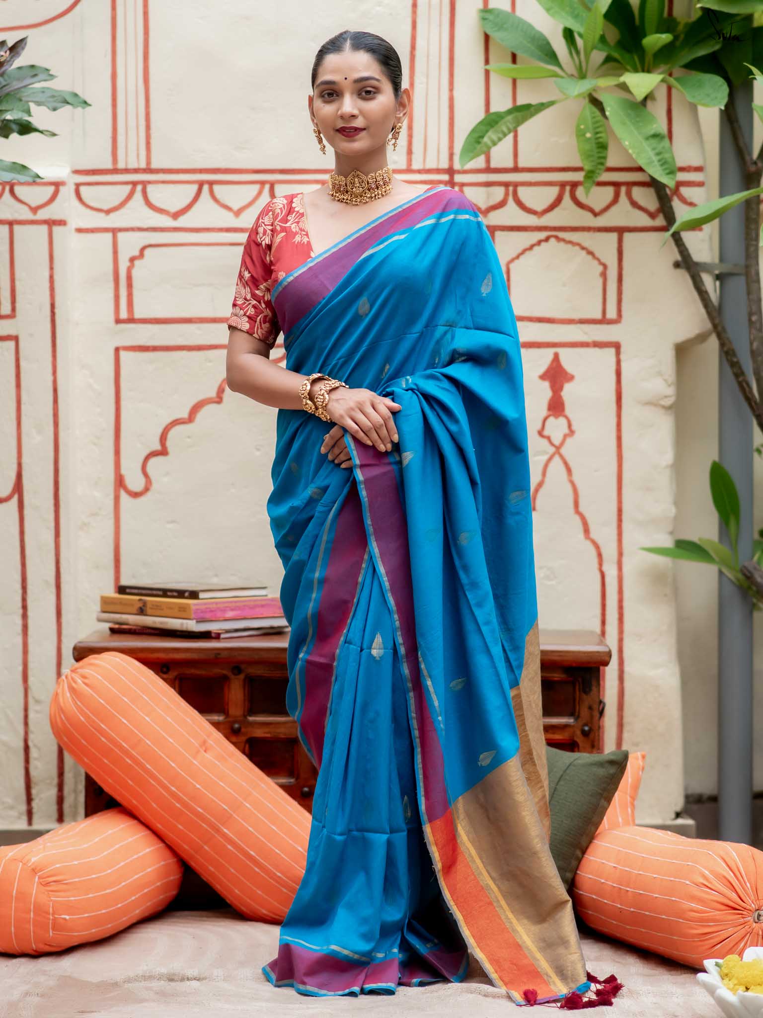 Saree Euphony