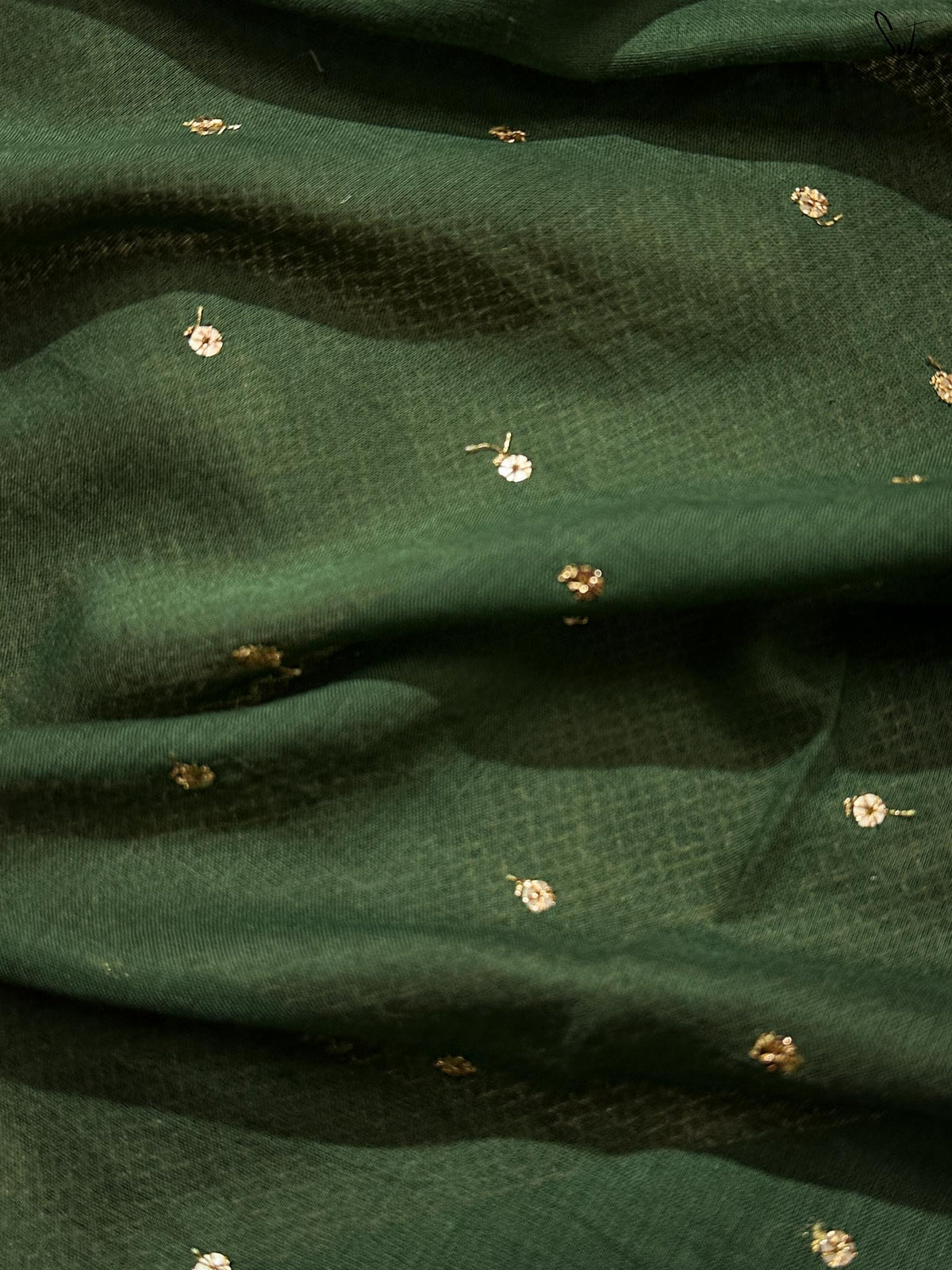 Dainty Olive