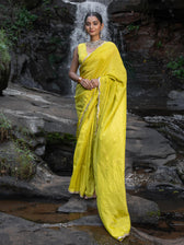 Fine Line Rekha