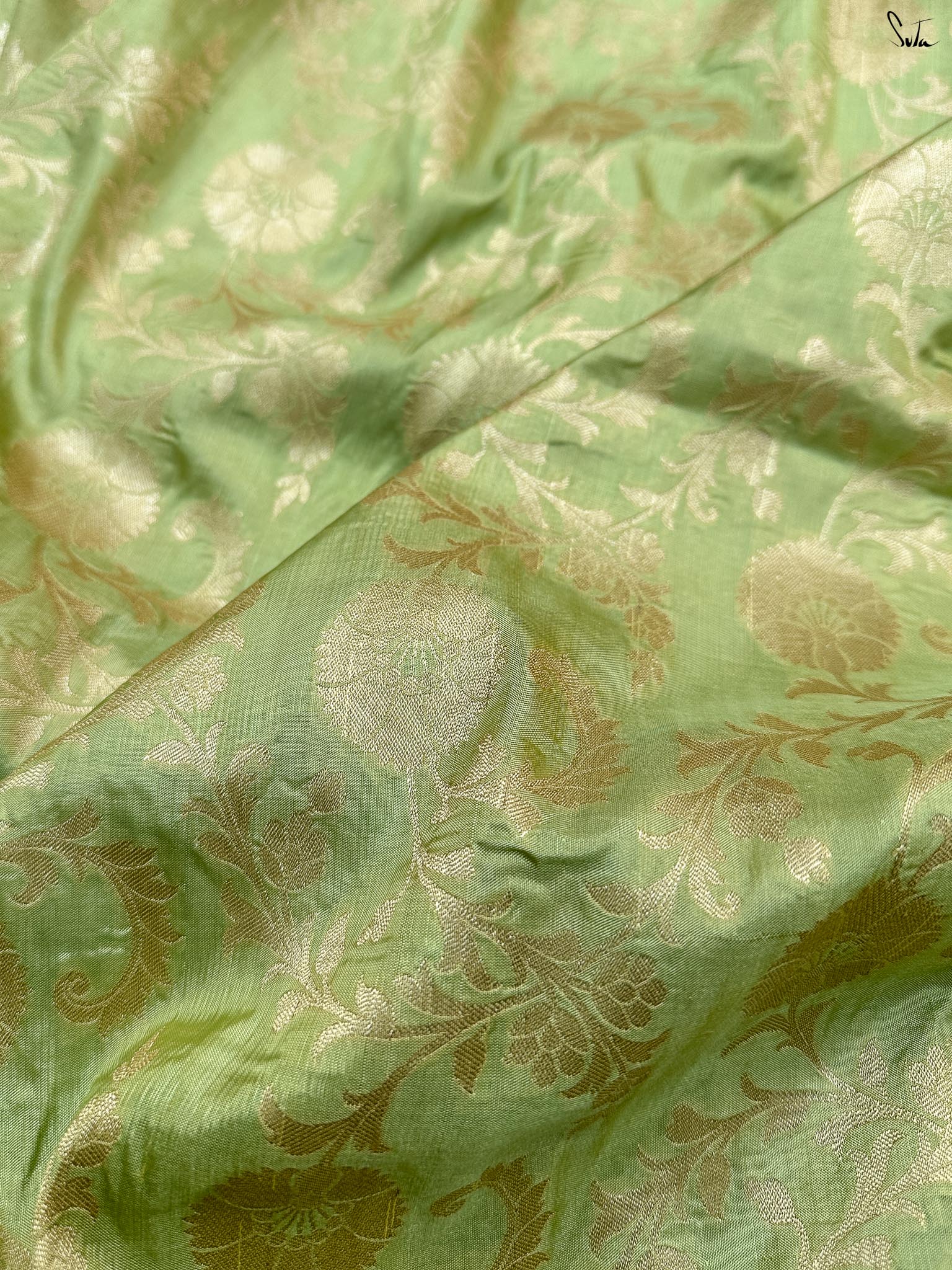 Golden Fern