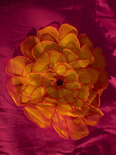 Gulabi Sa Basant
