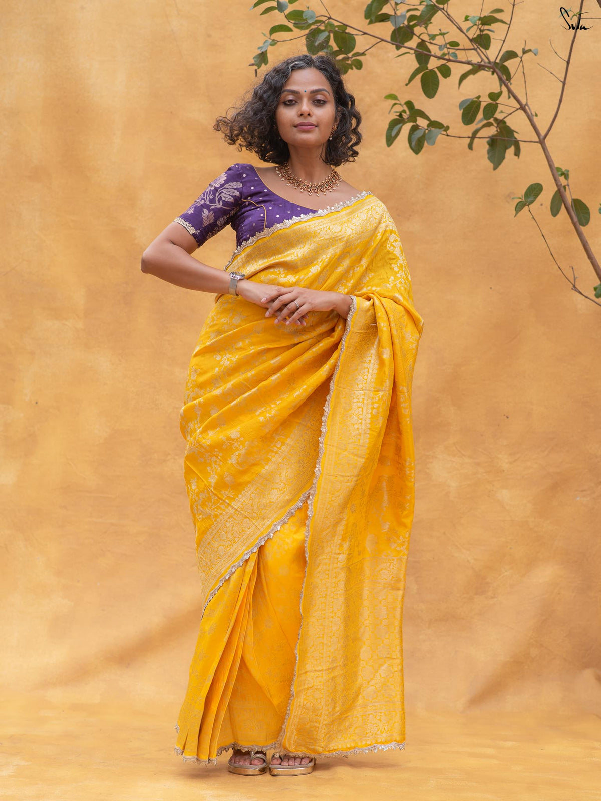 Haldi Hai Rtw