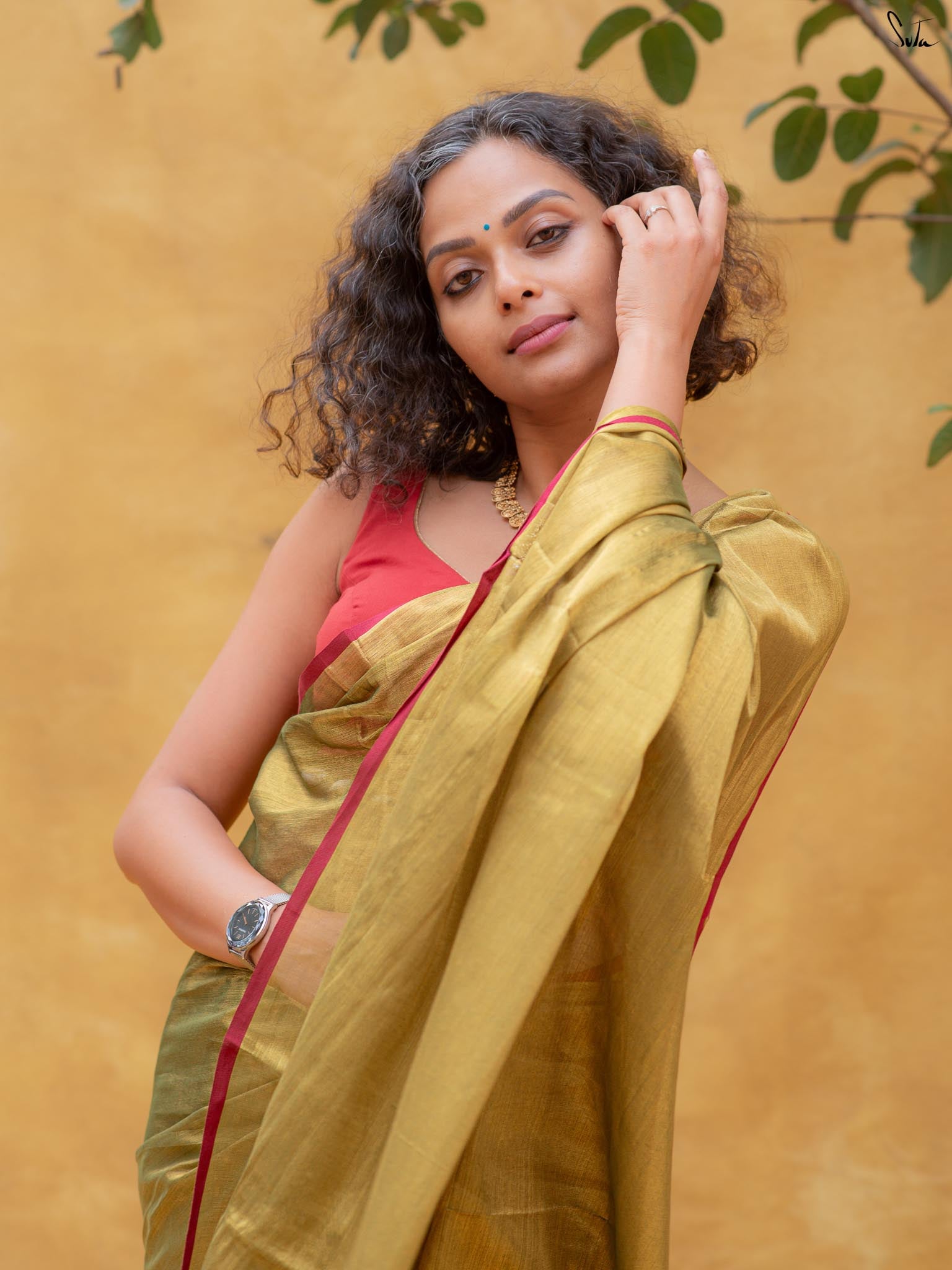 Hari Zafri Zari Saree