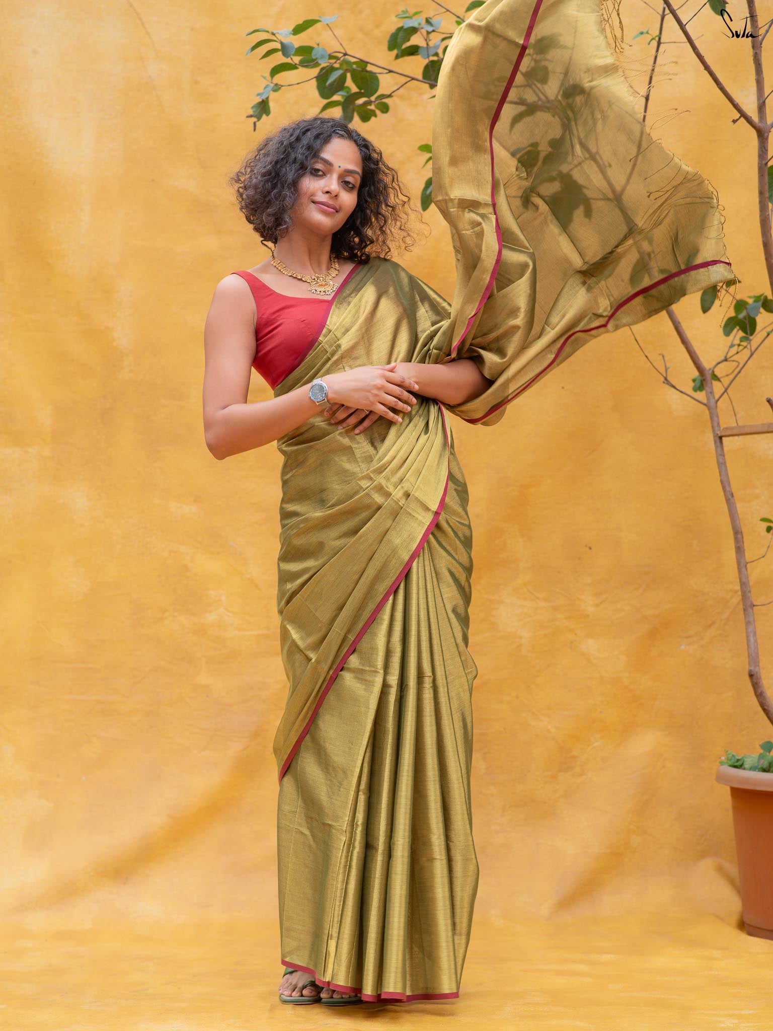 Hari Zafri Zari Saree