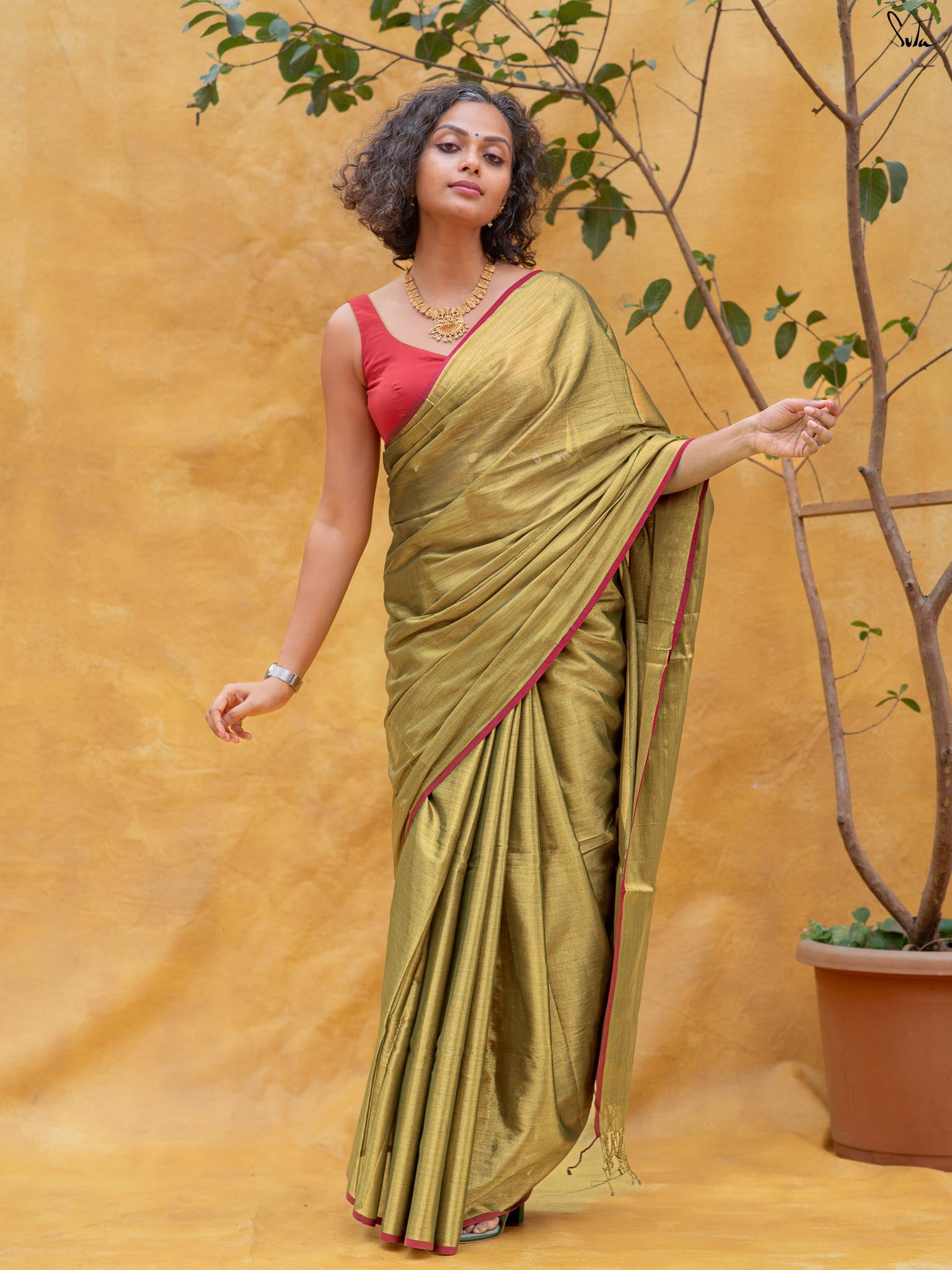 Hari Zafri Zari Saree