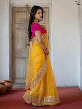 Holud Pakhi